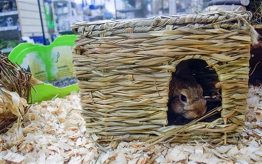 HAPPY PET GRASSY HIDEAWAY VERSTOPPLEK LARGE 36X27X18 CM