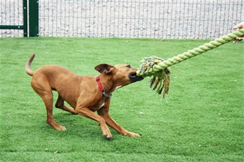 HAPPY PET KING SIZE TUG FLOSTOUW XL 123X18 CM
