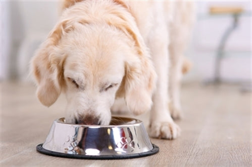 HAPPY PET VOERBAK ANTISLIP 17 CM OP=OP