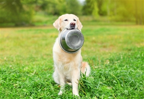 HAPPY PET VOERBAK RVS 13,5 CM