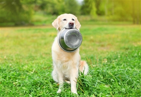 HAPPY PET VOERBAK RVS 21,5 CM