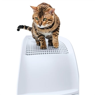 IMAC KATTENBAK FRIDA MET LADE GROEN 56X40X43,5 CM