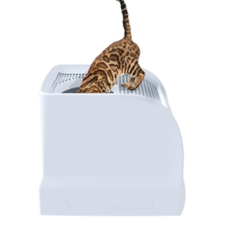 IMAC KATTENBAK FRIDA MET LADE GROEN 56X40X43,5 CM