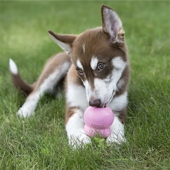 KONG EASY TREAT PUPPY 226 GR