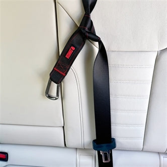 KONG SEAT BELT LOOP TETHER 32X4 CM