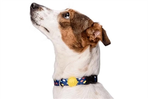 MORSO HALSBAND HOND GERECYCLED COLOR INVADERS PAARS 37-58X2,5 CM
