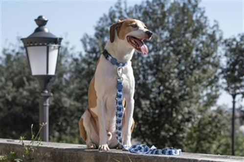 MORSO HALSBAND HOND GERECYCLED SPLASH BLAUW 30-42X1,5 CM