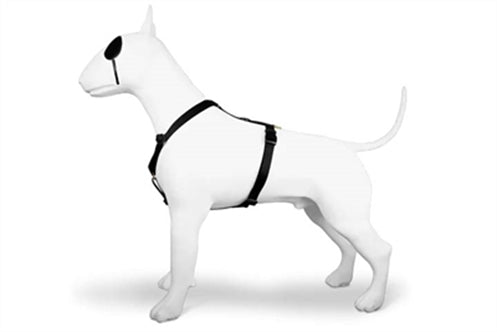 MORSO HONDENTUIG H-TUIG GERECYCLED GOLD CAVIAR GOUD 40-55X1,5 CM