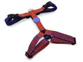 MORSO HONDENTUIG H-TUIG GERECYCLED URBAN LIZARD ROOD 70-100X2,5 CM