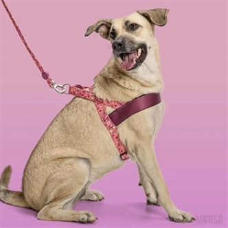 MORSO NORWEGIAN HONDENTUIG GERECYCLED PINK THINK ROZE 80-110X66 CM