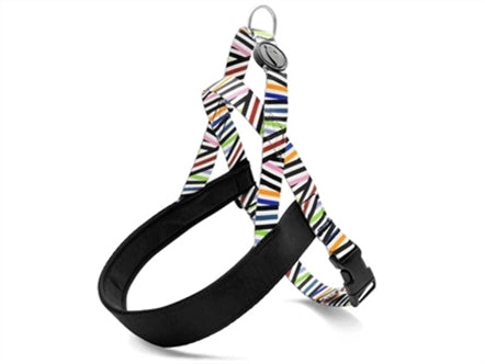 MORSO NORWEGIAN HONDENTUIG GERECYCLED SPAGHETTI INCIDENT 46-60X42 CM