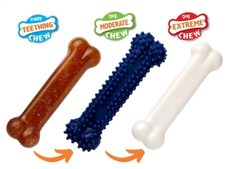NYLABONE PUPPY CHEW PUPPY STARTER KIT CHICKEN TOT 11 KG