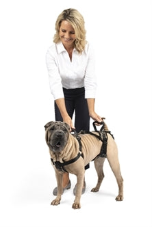 PETSAFE CARELIFT VOOR EN ACHTER MEDIUM