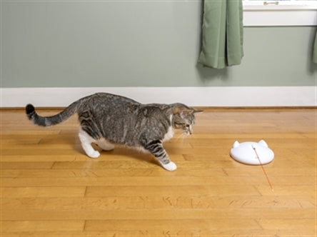 PETSAFE ZIP OP=OP