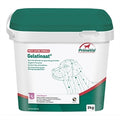 PRIMEVAL GELATINAAT HOND 2 KG