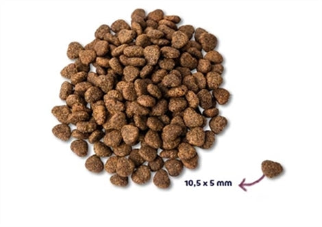 RENSKE SUPER PREMIUM ADULT KIP GRAANVRIJ HYPOALLERGEEN 2 KG