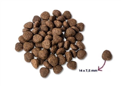 RENSKE SUPER PREMIUM ADULT ZALM GRAANVRIJ HYPOALLERGEEN 12 KG