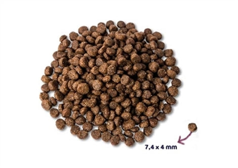 RENSKE SUPER PREMIUM PUPPY KIP / LAM 12 KG
