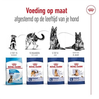 ROYAL CANIN MAXI ADULT 15 KG