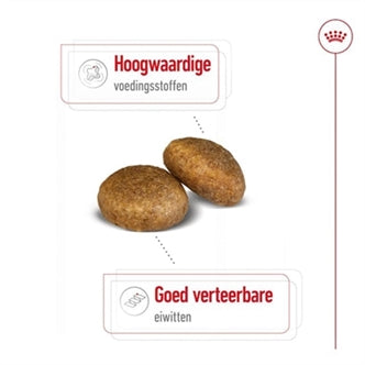 ROYAL CANIN MAXI ADULT 15 KG