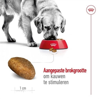ROYAL CANIN MAXI ADULT 15 KG