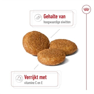 ROYAL CANIN MEDIUM ADULT 15 KG