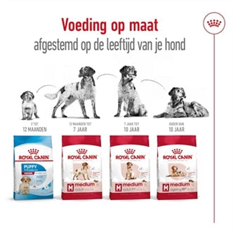 ROYAL CANIN MEDIUM ADULT 4 KG