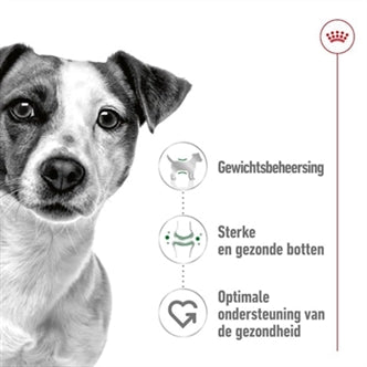 ROYAL CANIN MINI ADULT 4 KG
