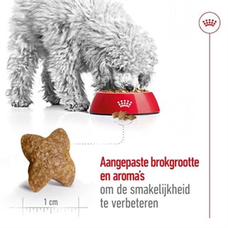 ROYAL CANIN MINI ADULT 4 KG