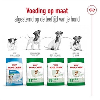 ROYAL CANIN MINI ADULT 4 KG