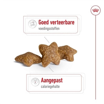 ROYAL CANIN MINI ADULT 8 KG