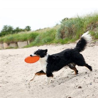RUBBER FRISBEE DOG 0 SOAR GROEN 18 CM