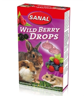SANAL KNAAGDIER 3-PACK DROPS YOGURT / SALAD / WILD BERRY 3X45 GR