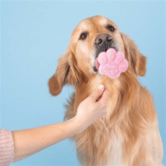 SMOOFL IJSMIX VOOR HONDEN AARDBEI 160 GR OP=OP