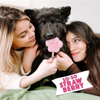 SMOOFL IJSMIX VOOR HONDEN AARDBEI 160 GR OP=OP