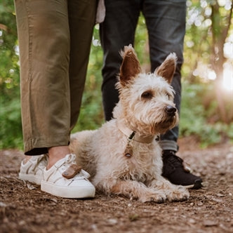 TICKLESS ECO TEEK EN VLO AFWEER VOOR MENSEN BRUIN OP=OP