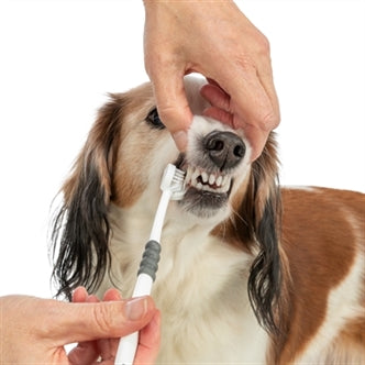 TRIXIE 3-KOPPIGE TANDENBORSTEL HOND / KAT WIT / GRIJS 18 CM