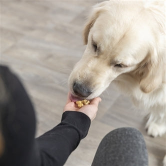 TRIXIE BAKMAT MET BOTJES VOOR HOND SILICONE 38X28 CM
