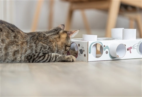 TRIXIE CAT ACTIVITY PAWS'N'TREATS BOX KARTON 35X20X7 CM