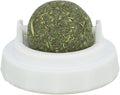 TRIXIE CATNIP BAL MET HOUDER ZELFKLEVEND 5 CM