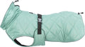 TRIXIE CITYSTYLE BE ECO HONDENJAS OSLO GERECYCLED JADE GROEN 40 CM