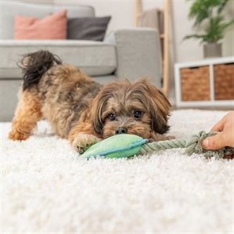 TRIXIE DIERENPOOT MET TOUW GROEN 22 CM