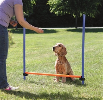 TRIXIE DOG ACTIVITY AGILITY HORDE BLAUW / ORANJE 123X115X3 CM