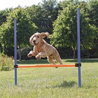 TRIXIE DOG ACTIVITY AGILITY HORDE BLAUW / ORANJE 123X115X3 CM