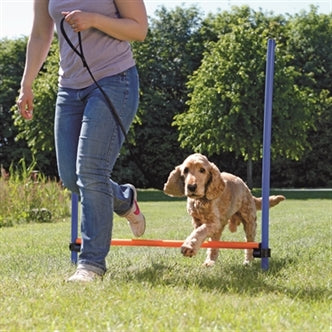 TRIXIE DOG ACTIVITY AGILITY HORDE BLAUW / ORANJE 123X115X3 CM