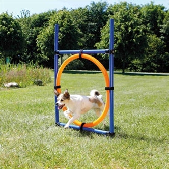 TRIXIE DOG ACTIVITY AGILITY RING BLAUW / ORANJE 65X3X115 CM