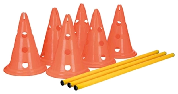 TRIXIE DOG ACTIVITY HORDENSET 2 ST
