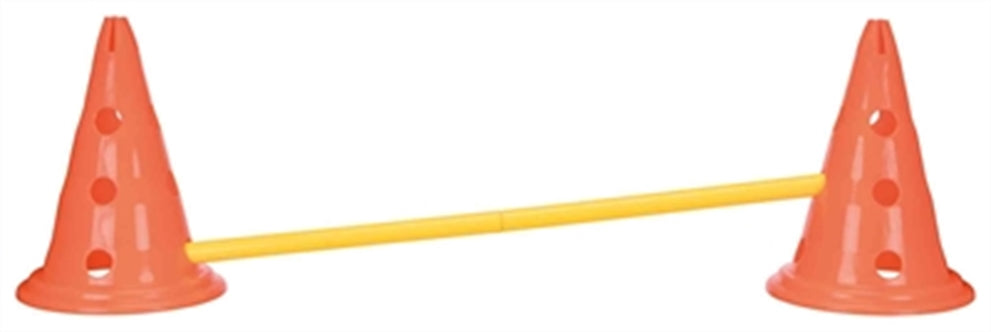 TRIXIE DOG ACTIVITY HORDENSET 2 ST