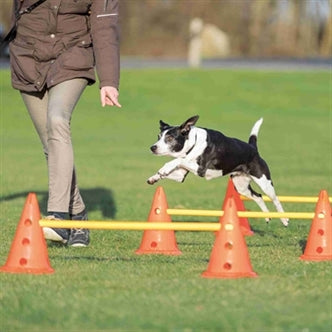TRIXIE DOG ACTIVITY HORDENSET 2 ST