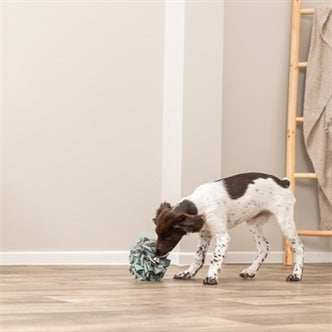 TRIXIE DOG ACTIVITY SNUFFELBAL 15X15X15 CM